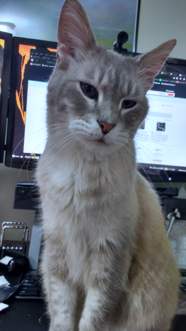 Milo