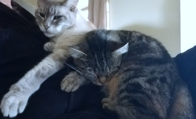 Milo & Jujubee